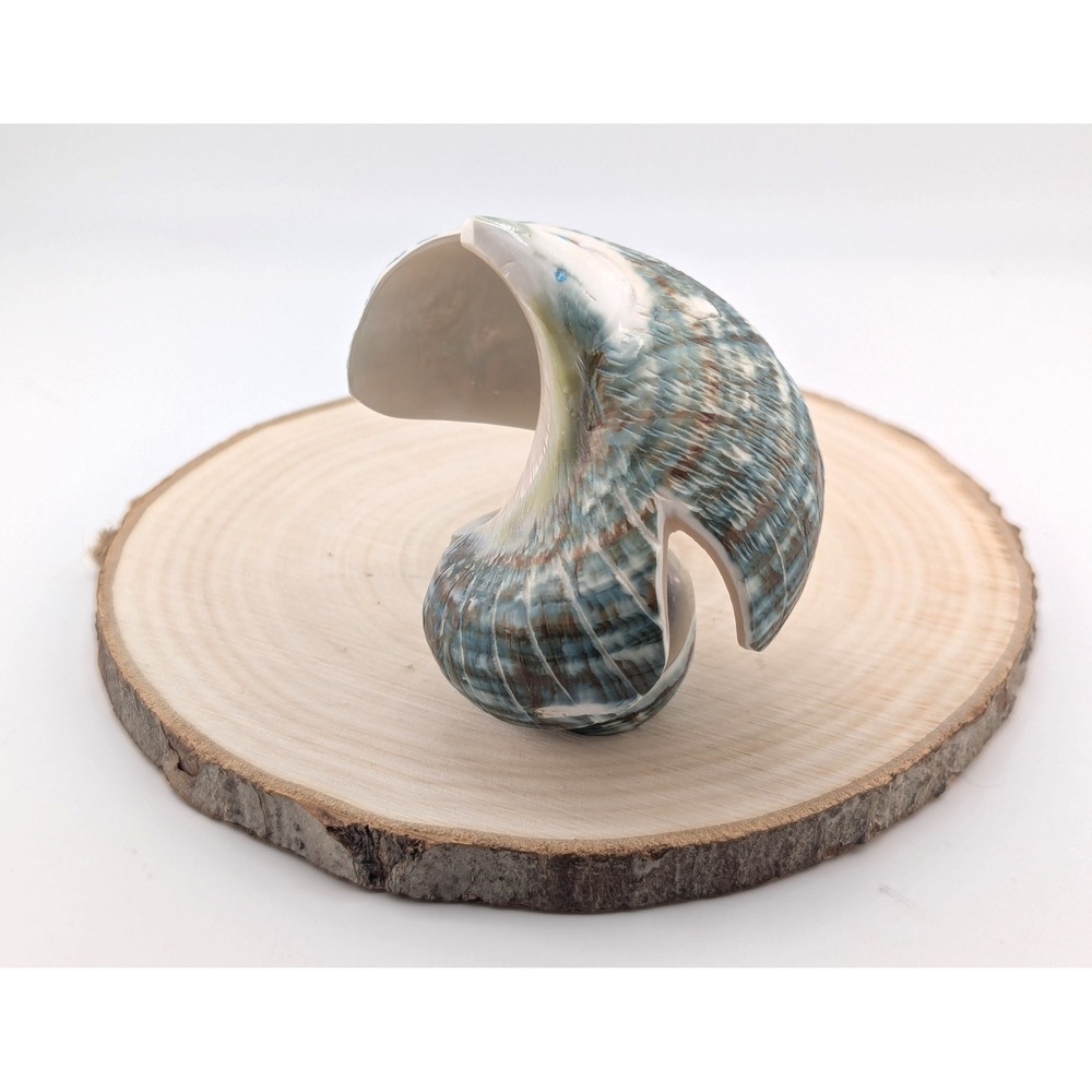 Zuni Animal Fetish - Green Snail‎ Shell Signed Native American Spirit Animal - Picture 7 of 9